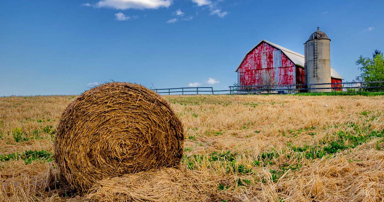 Red Barn and Field