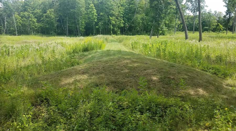 Lizard Mound State Park Effigy Mound